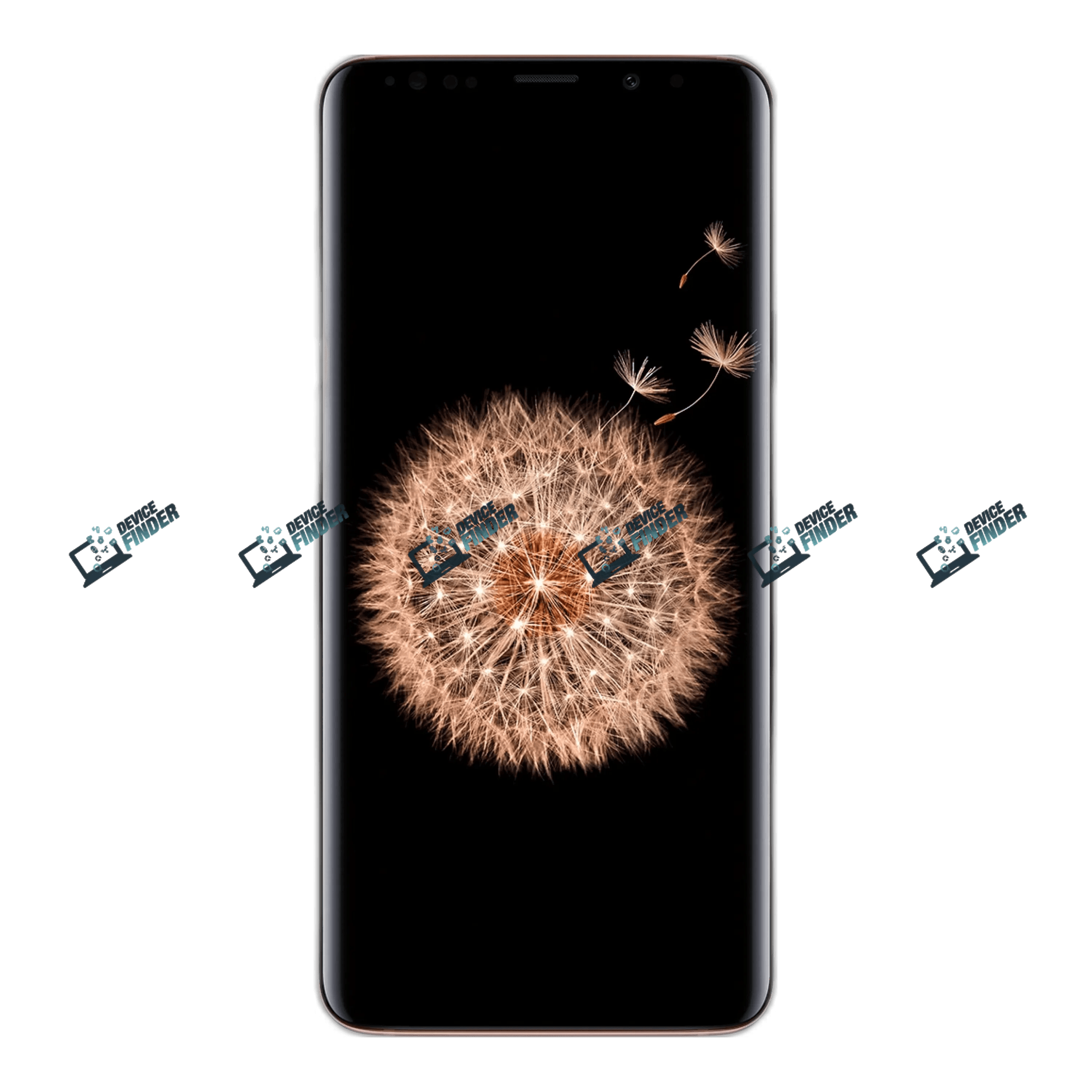 Galaxy S9+ Colors and Designs—See What's New! Display of Samsung Galaxy S9+ various color options popular in Bangladesh markets